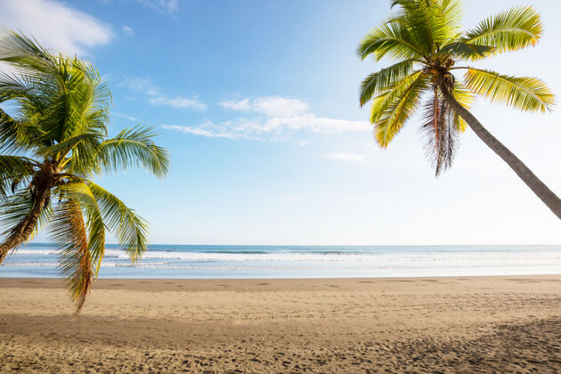 热带哥斯达黎加美丽的热带太平洋海岸海湾公园沙滩