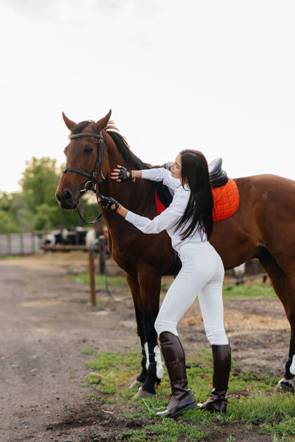 马一个年轻漂亮的女骑手在牧场上的纯种种马旁摆姿势骑马 赛马动物马背缰绳