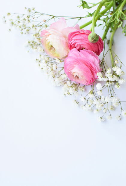 礼物一束美丽的粉红色毛茛花（毛茛） 白色表面有精致的白色团花自然婚礼毛茛