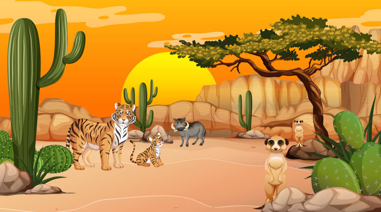 生物沙漠森林景观在日落时分与野生动物的景色辉光动物群沙漠
