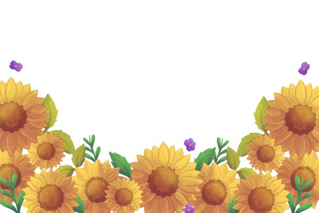 花瓣手绘水彩画向日葵边框花手绘花
