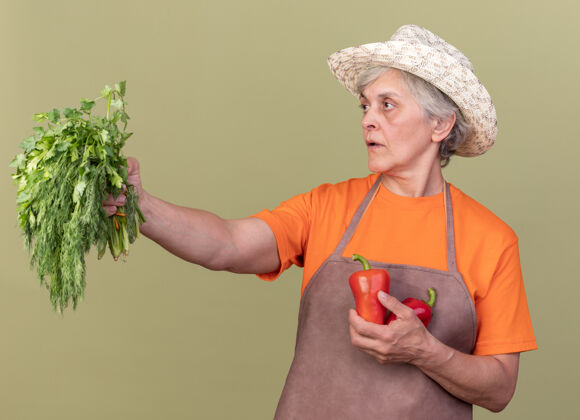 胡椒自信的上了年纪的女园丁戴着园艺帽 手里拿着红辣椒和一束胡荽看着身边老人绿橄榄