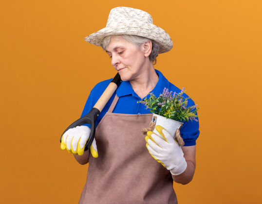 请戴高兴的上了年纪的女园丁戴着园艺帽和手套 肩上扛着花盆和铁锹女肩花园