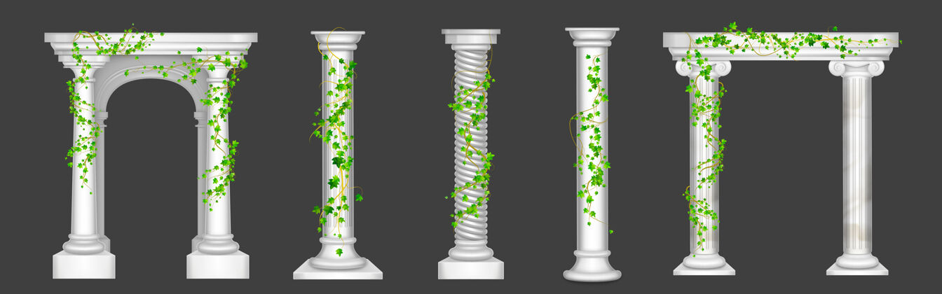 树枝大理石柱上的常春藤和拱门藤蔓 绿叶爬在古老的石柱上柱常春藤罗马