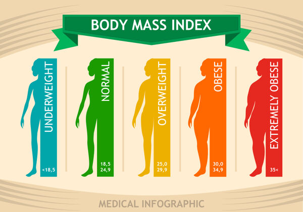 不健康女性体重指数bmi信息图图表计算器时间表