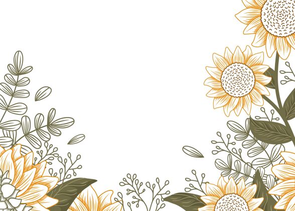 手绘手绘向日葵边框 空白花向日葵开花