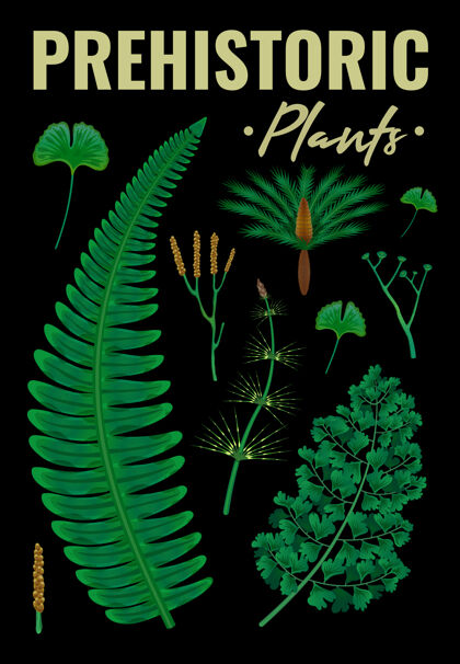 树枝史前植物垂直海报植物学树叶海报