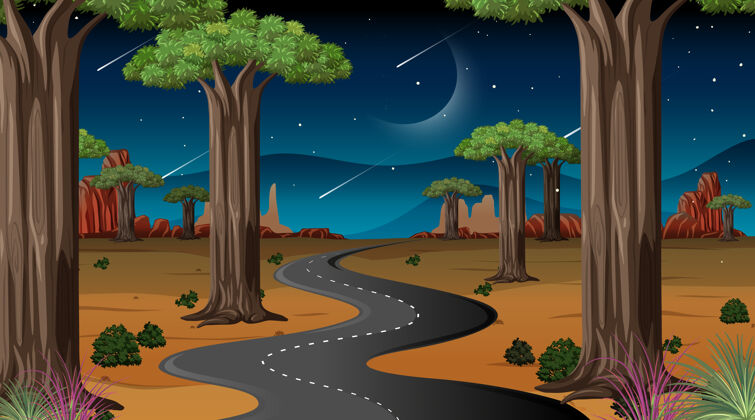 乡村长途跋涉穿越沙漠的夜景路面森林非洲