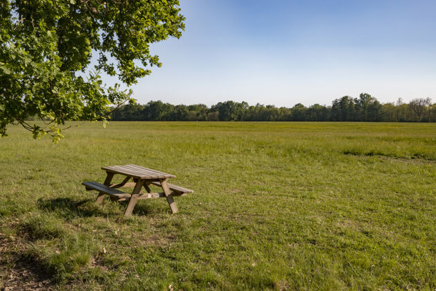 农业绿色草地上的木制桌椅阳光新鲜农村