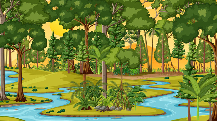 空日落时分沿河的森林景色树乡村生态系统