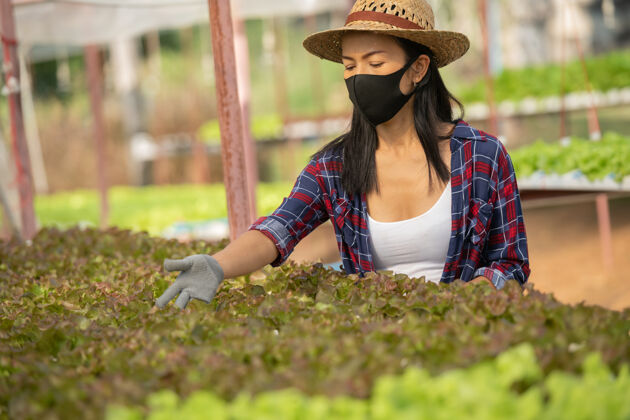 莴苣在蔬菜水培农场工作的亚洲女农场主带着幸福戴着化装舞会在温室农场微笑着检查蔬菜色拉质量的女农场主画像营养园艺叶