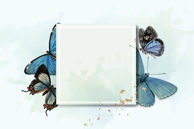 水彩背景方框蓝蝴蝶背景装饰品蝴蝶