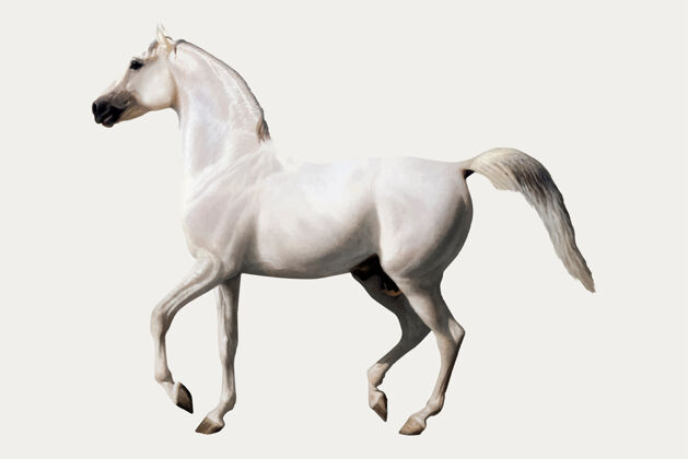 古董复古马插图 从雅克劳伦特阿加塞的艺术作品混合经典种马动物插图
