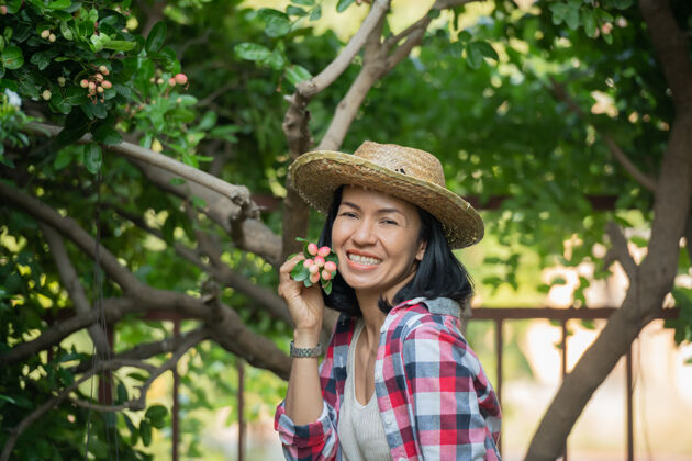 浆果小型家庭企业快乐的微笑开朗的女性穿着工作服和农家服草帽 挑选出适合出售的芒果哈欠酸橙含高铁和维生素c叶子夏天举行