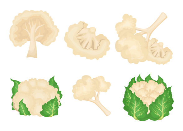 块卡通菜花插画集食物素食花椰菜