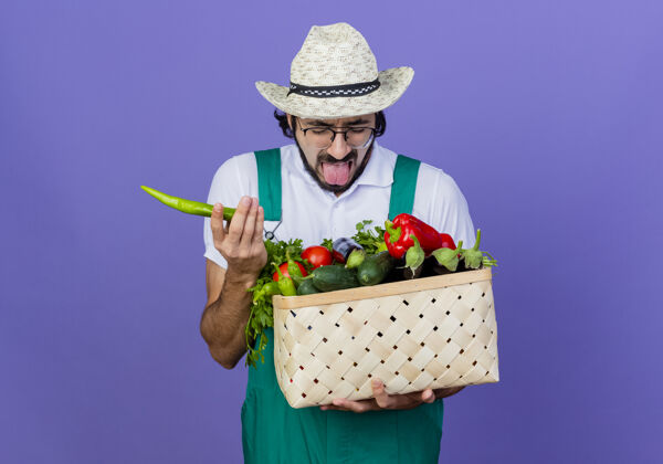 感觉年轻的留着胡须的园丁穿着连体衣 戴着帽子 手里拿着装满蔬菜的箱子 手里拿着绿辣椒 伸出舌头站在蓝色的墙上站着胡须花园