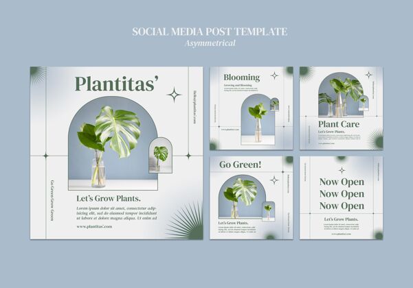 花瓶种植植物社交媒体帖子模板自然蔬菜社交媒体帖子
