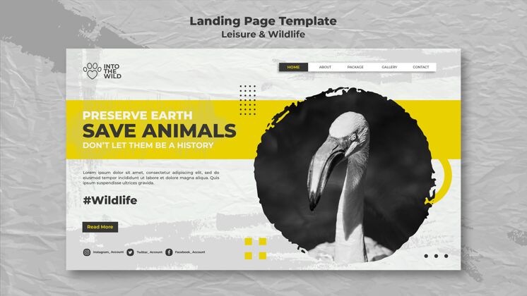 野生动物野生动物和环境保护登录页模板网页登陆页网页模板
