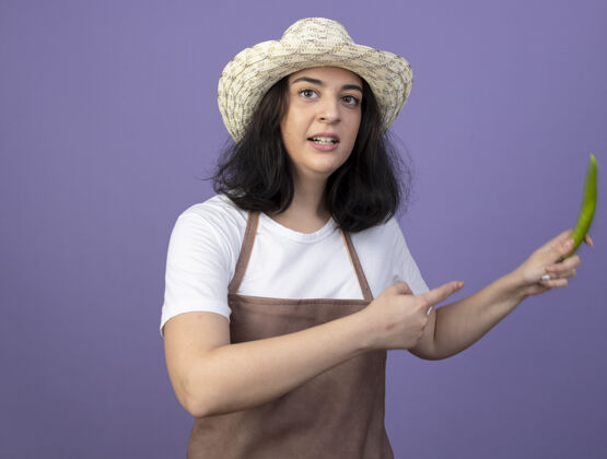 持有焦急的年轻黑发女园丁穿着制服 戴着园艺帽 指着隔离在紫色墙上的辣椒穿姿势表情