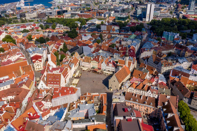 风景鸟瞰中世纪 美丽的塔林城墙城市 爱沙尼亚绿色历史红色