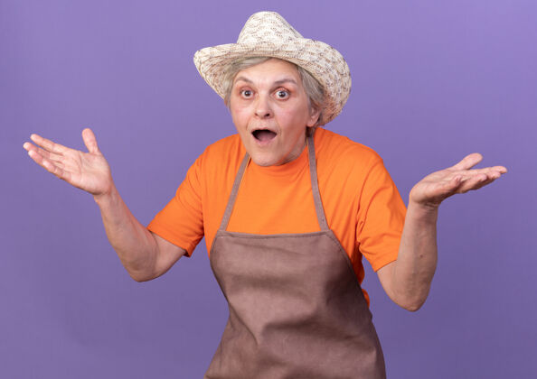 开惊讶的上了年纪的女园丁戴着园艺帽 双手张开放在紫色上惊喜手花园