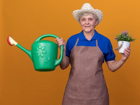 花园高兴的上了年纪的女园丁戴着园艺帽拿着浇水罐和桔子上的花盆园艺请女