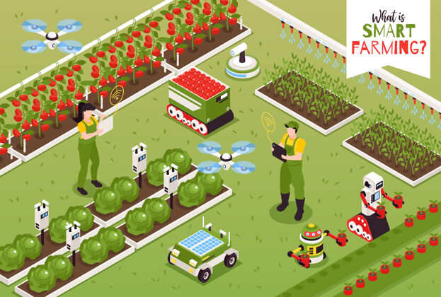 智能农场等距智能农场组成和人物插图人农作物等距