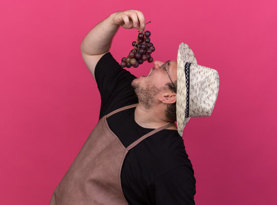 轮廓站在侧视图年轻的男园丁戴着园艺帽尝试葡萄隔离在粉红色的墙上人立场园艺