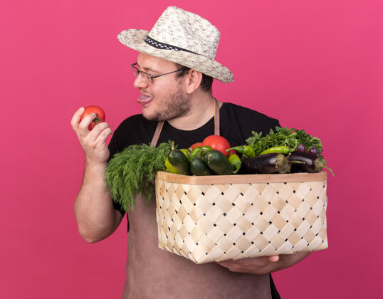 园艺高兴的年轻男园丁戴着园艺帽 手里拿着菜篮子 看着孤立在粉红色墙上的西红柿穿着衣服帽子