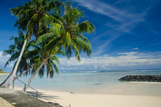 棕榈在萨摩亚的玛纳斯 蓝色多云的天空下 海滩被棕榈树和大海包围海岸线度假村海