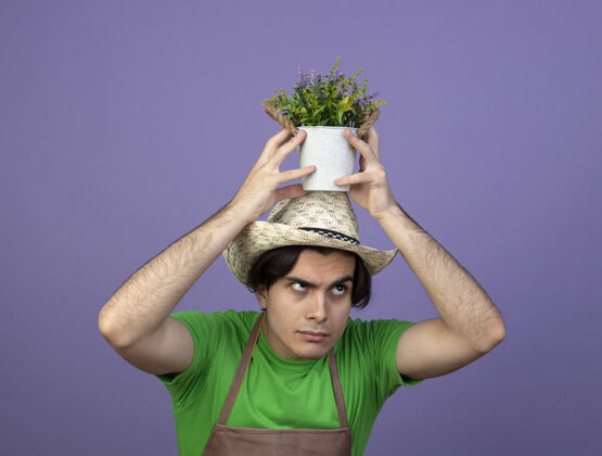 紫色迷茫的年轻男园丁穿着制服戴着园艺帽头上捧着花盆里的花男穿抱
