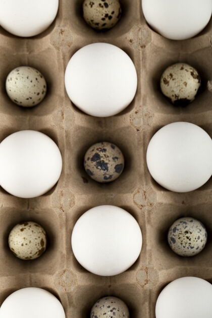 生的生鸡肉和鹌鹑蛋装在纸箱里鸡蛋禽类鹌鹑