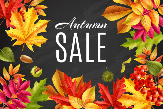空间现实秋季销售黑板框架周围褪色的树叶插图树叶销售现实