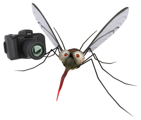 疾病蚊子3d插图传播危险翅膀