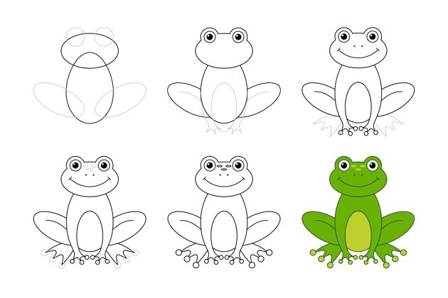 动物手画一步一步画青蛙野生轮廓包装