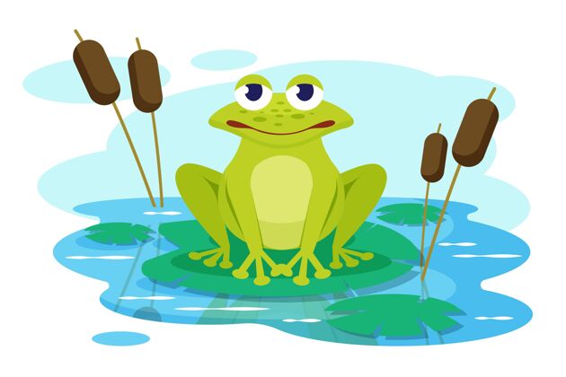 平面设计平面设计青蛙插图野生自然青蛙