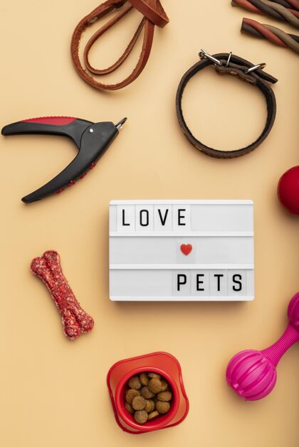 皮带宠物配件静物概念与爱宠物文字项圈宠物玩具