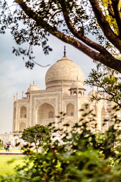 宫殿印度阿格拉泰姬陵建筑的美丽垂直照片 附近有树木印度世界遗产