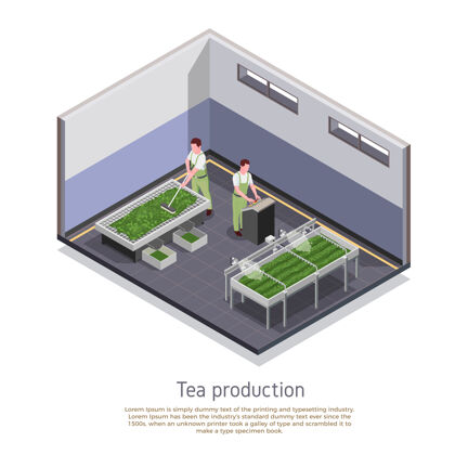工人现代茶叶生产设施等距组成插图等长人茶