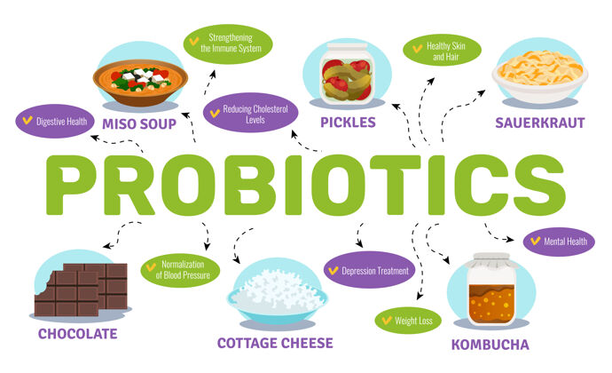 五颜六色益生菌和健康概念与食品和细菌符号平面插图食物巧克力