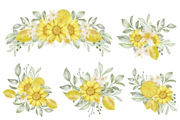 安排一套春季柠檬插花水彩插画树枝树叶花卉