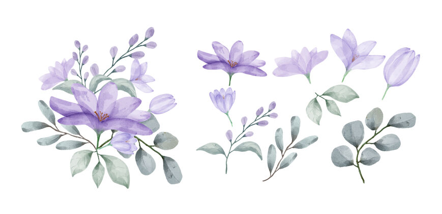 绘画一套用水彩画的花开花花束优雅