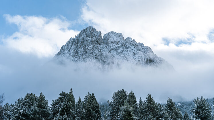 雾一个美丽的拍摄雾天在冬季森林附近的一座山木头霜冻雾