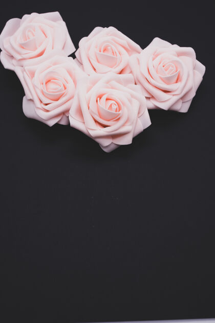 自然垂直特写镜头粉红色玫瑰孤立的黑色背景与复制空间玫瑰花朵垂直