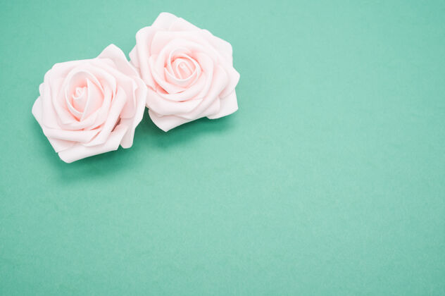 花朵两朵粉红色玫瑰的特写镜头 在绿色背景上 有复制空间花粉色绽放