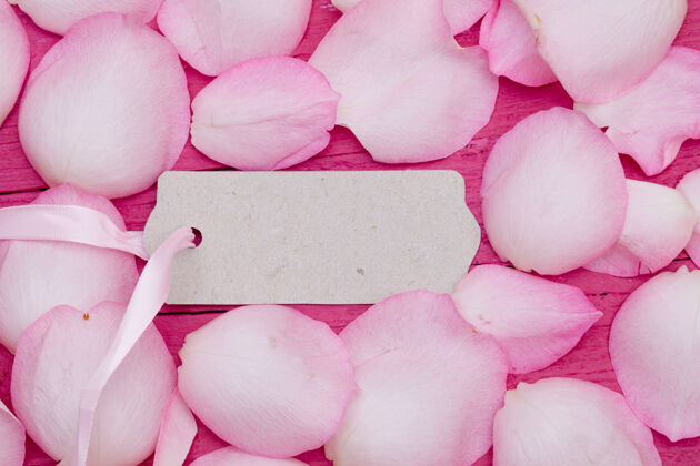 白色粉色玫瑰花瓣环绕的空白标签浪漫浪漫标签