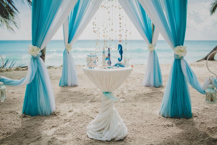 花蓝白相间的婚礼走道在一片棕榈树环绕的海滩上 背景是大海庆祝海洋花