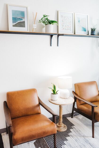 白墙垂直拍摄棕色椅子和白色的灯和一个家庭植物在一张桌子上桌子室内植物客厅