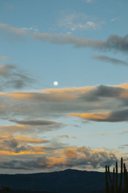 干燥一个美丽的月亮与多云的天空垂直拍摄风景沙子能见度
