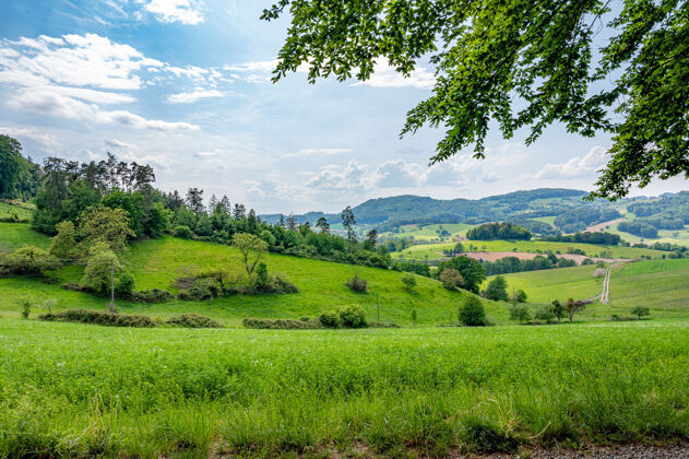 德国德国的欧登瓦尔德是纯天然的自然浪漫山